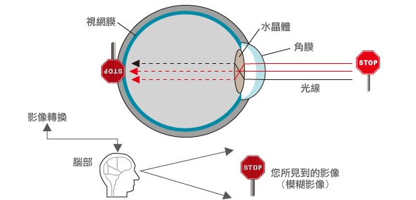 眼动仪成像原理